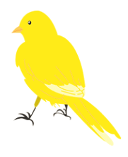 �J�i����